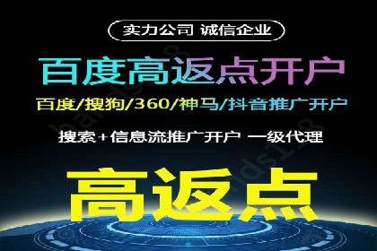 搜索开户返点揭秘：成功案例教你赚钱